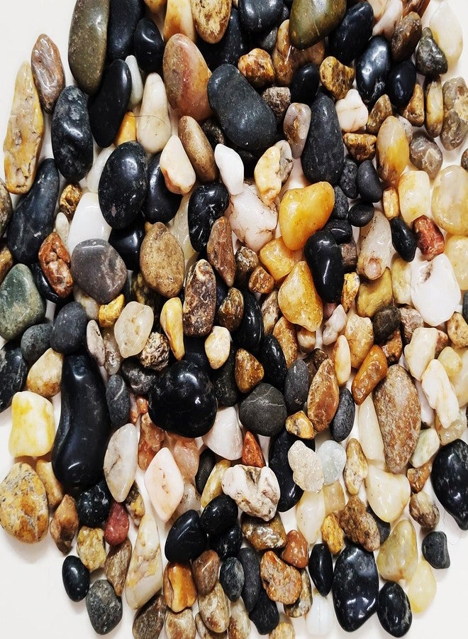 DS1 Quartz Marble Small Pebbles for Home Decoration, Aquarium, Table, Vases, Garden and Fountain Decoration, Multi-Colored, Small Size (950 gm, Multi-Colored) - Image 2